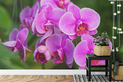 Fototapeta Kwiaty Orchidei 3D – aranżacja wnętrza