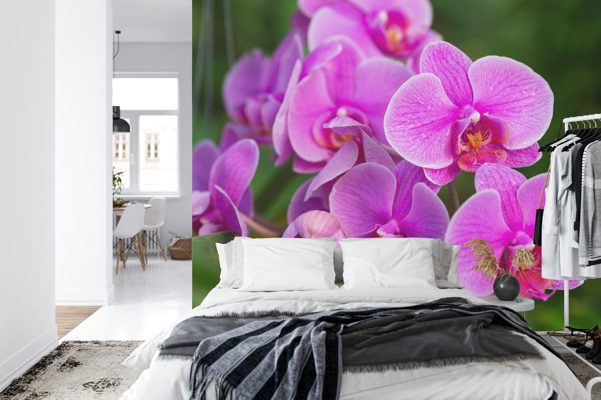 Fototapeta Kwiaty Orchidei 3D – aranżacja wnętrza