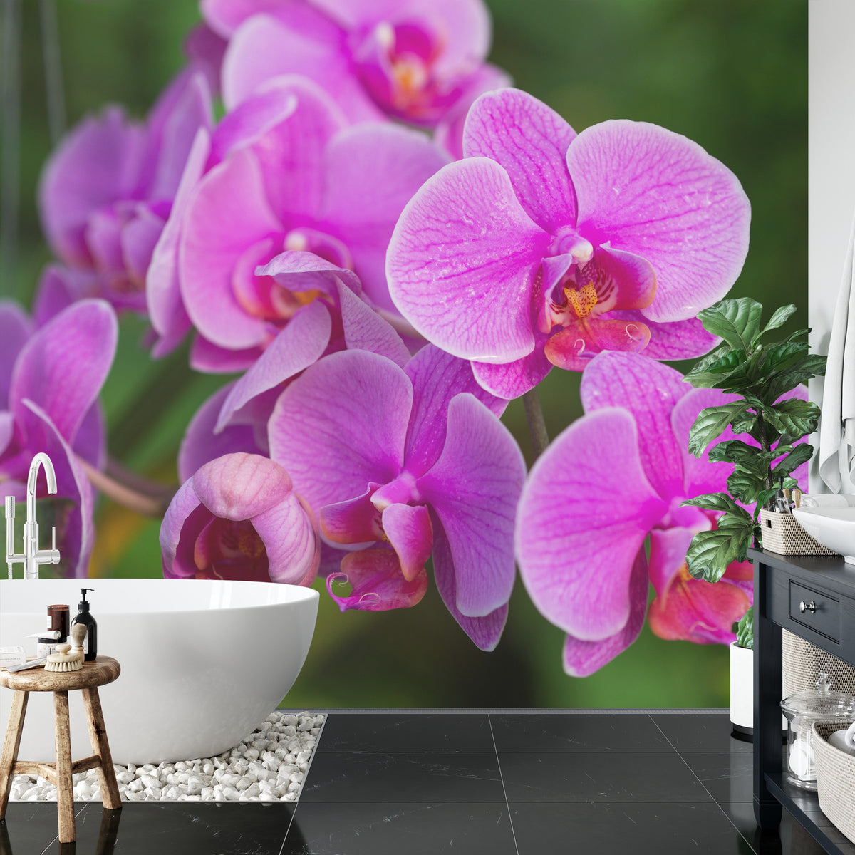 Fototapeta Kwiaty Orchidei 3D – aranżacja wnętrza