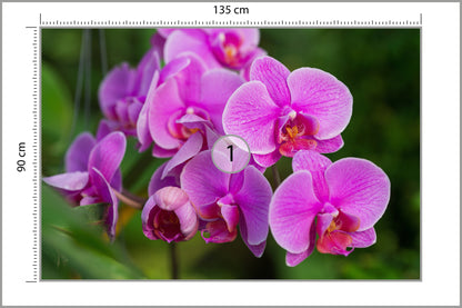 Fototapeta Kwiaty Orchidei 3D 135 × 90 cm – podgląd kadru