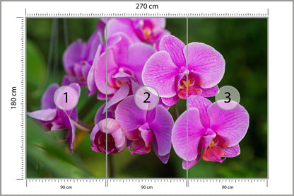 Fototapeta Kwiaty Orchidei 3D 270 × 180 cm – podgląd kadru
