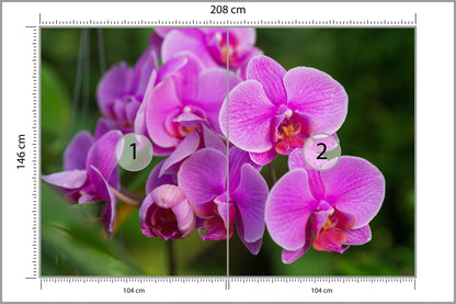 Fototapeta Kwiaty Orchidei 3D 208 × 146 cm – podgląd kadru