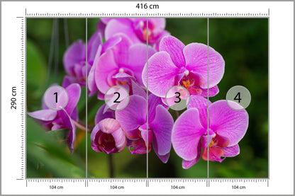 Fototapeta Kwiaty Orchidei 3D 416 × 290 cm – podgląd kadru