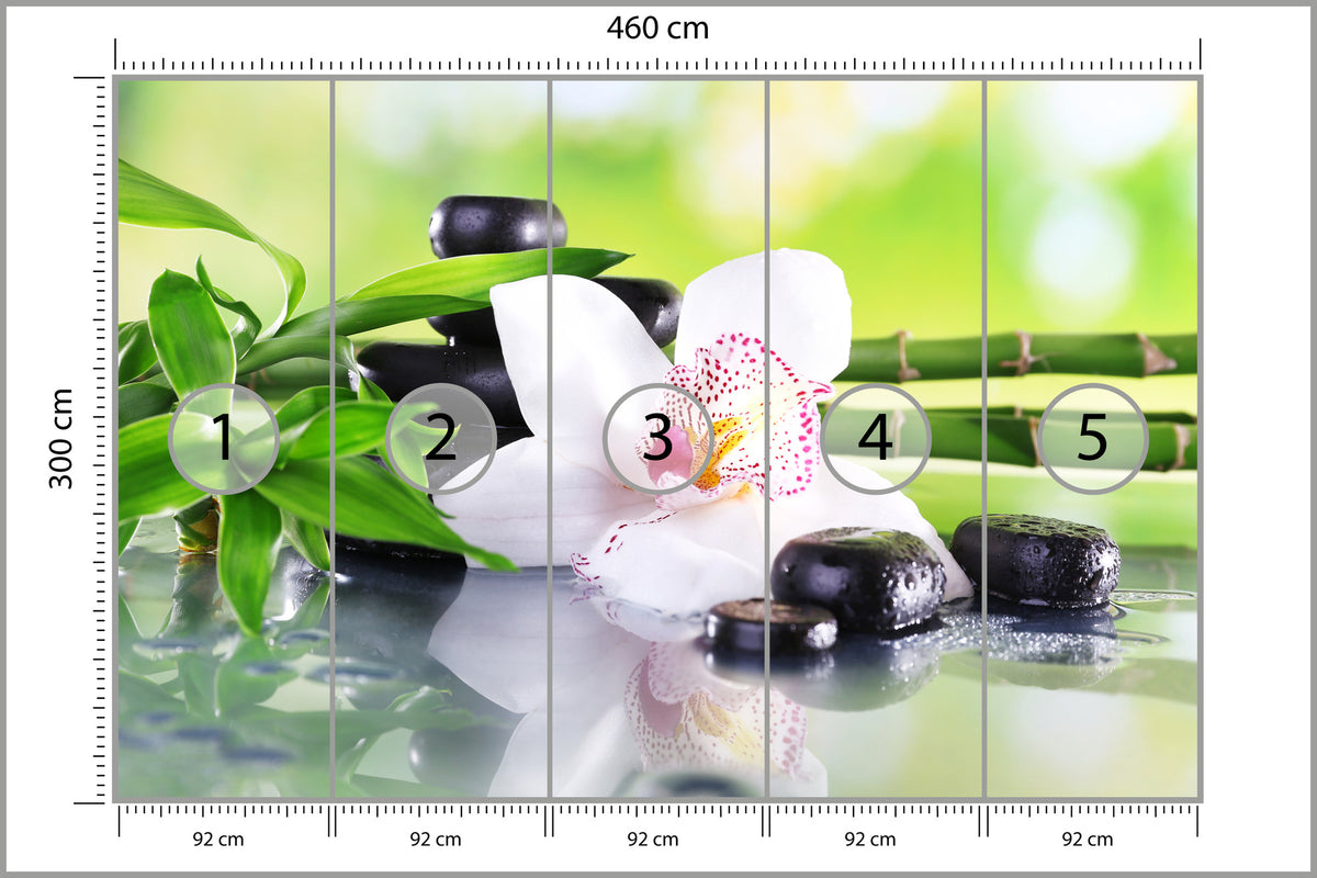 Fototapeta Piękny Storczyk Spa 460 × 300 cm – podgląd kadru