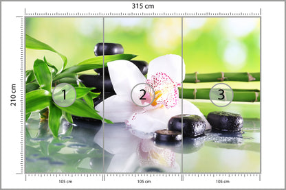 Fototapeta Piękny Storczyk Spa 315 × 210 cm – podgląd kadru