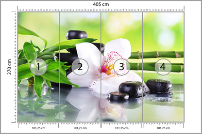 Fototapeta Piękny Storczyk Spa 405 × 270 cm – podgląd kadru