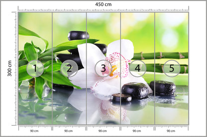 Fototapeta Piękny Storczyk Spa 450 × 300 cm – podgląd kadru