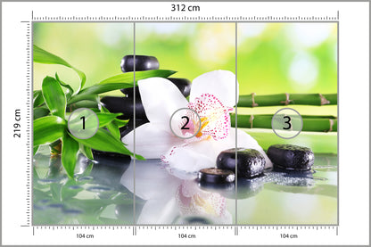 Fototapeta Piękny Storczyk Spa 312 × 219 cm – podgląd kadru