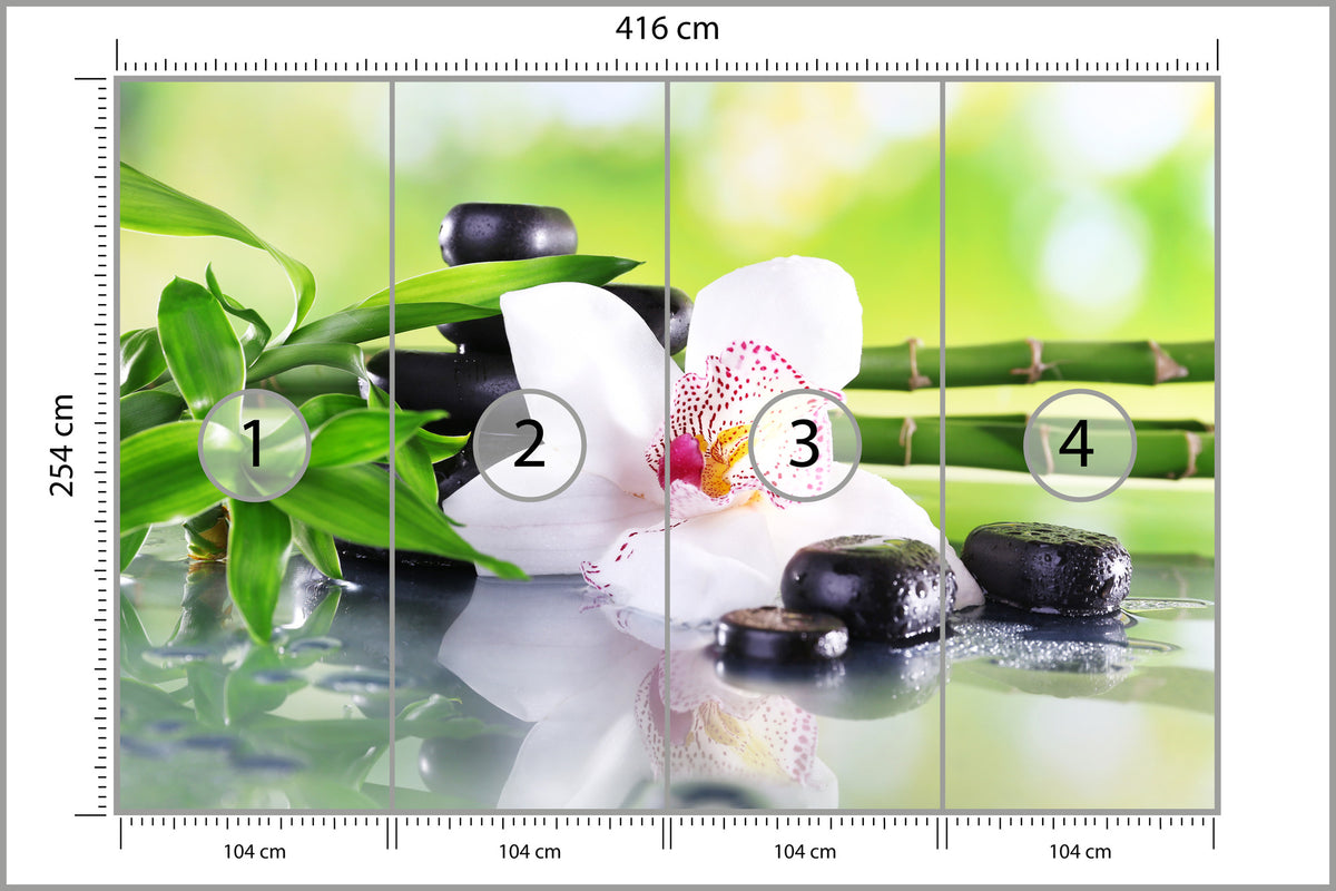 Fototapeta Piękny Storczyk Spa 416 × 254 cm – podgląd kadru