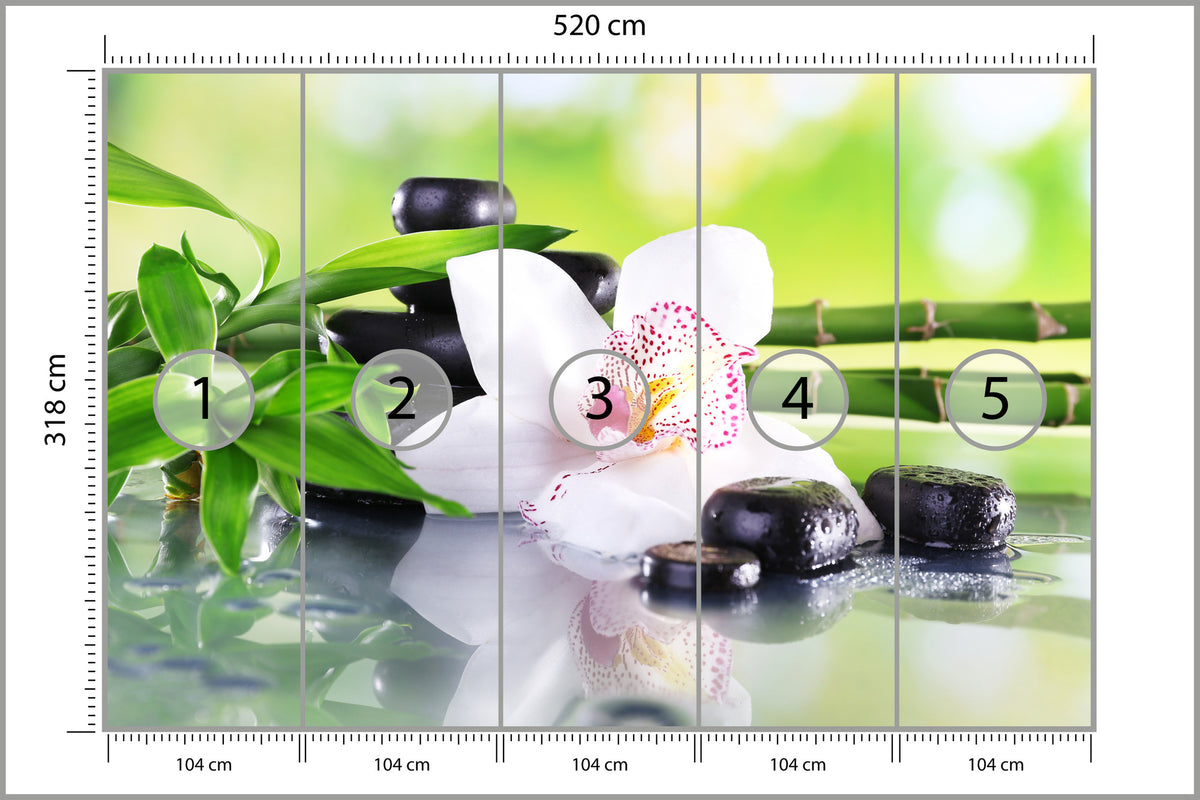 Fototapeta Piękny Storczyk Spa 520 × 318 cm – podgląd kadru