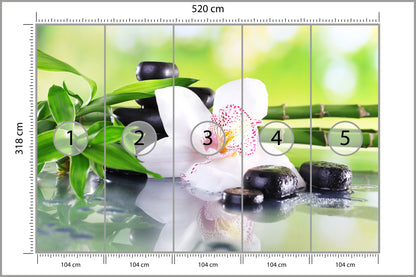 Fototapeta Piękny Storczyk Spa 520 × 318 cm – podgląd kadru