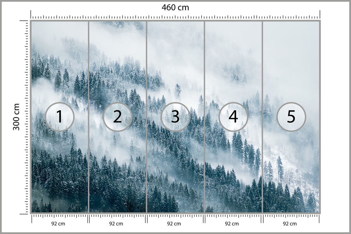 Fototapeta Las We Mgle Zbocze W Chmurach 460 × 300 cm – podgląd kadru