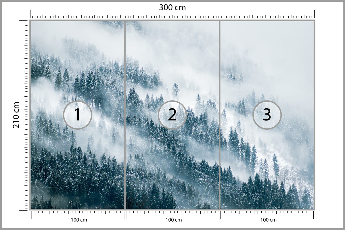 Fototapeta Las We Mgle Zbocze W Chmurach 300 × 210 cm – podgląd kadru
