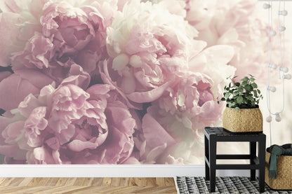 Fototapeta Kwitnące Peonie Pastelowe – aranżacja wnętrza