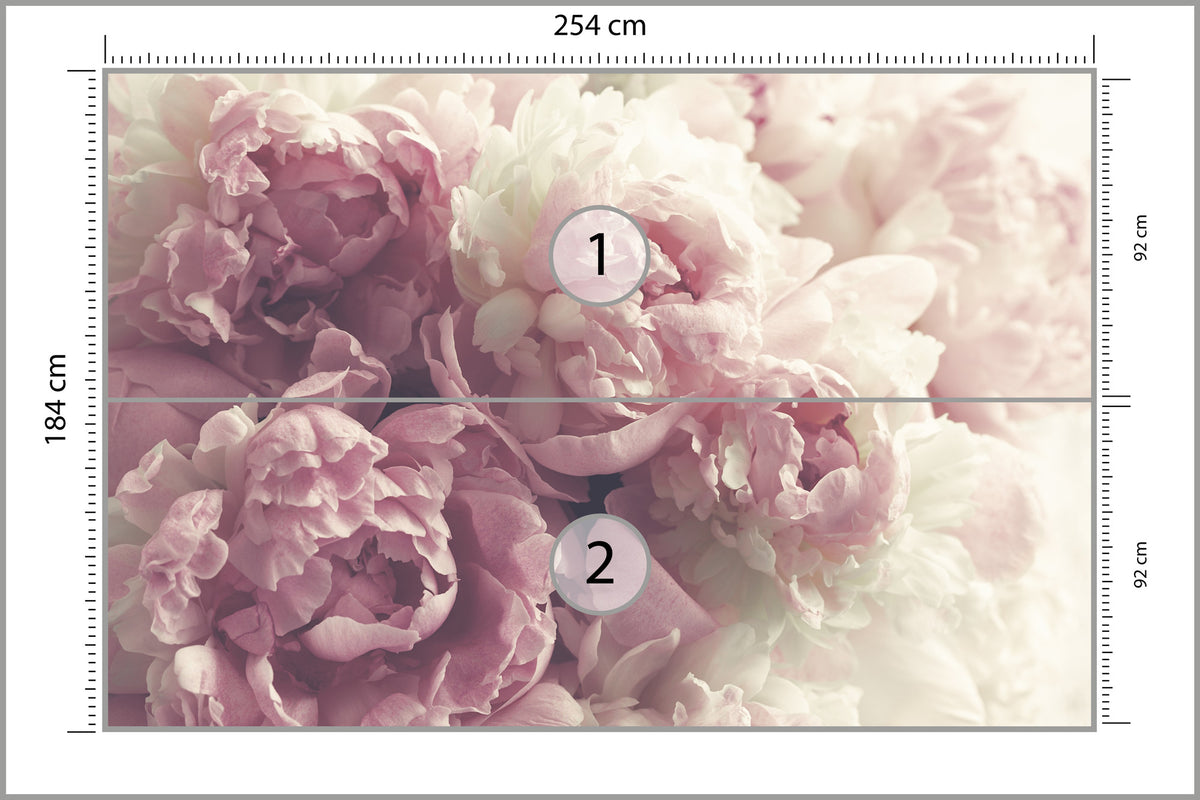 Fototapeta Kwitnące Peonie Pastelowe 254 × 184 cm – podgląd kadru