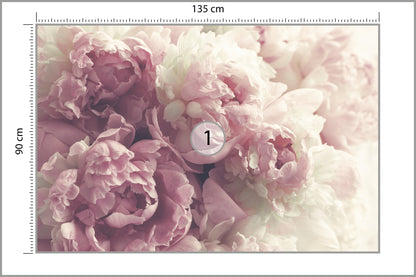 Fototapeta Kwitnące Peonie Pastelowe 135 × 90 cm – podgląd kadru