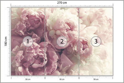 Fototapeta Kwitnące Peonie Pastelowe 270 × 180 cm – podgląd kadru