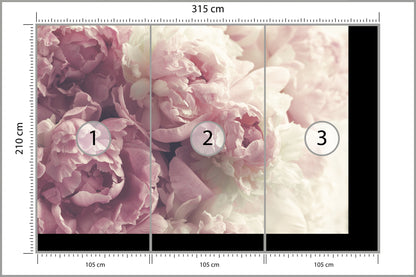 Fototapeta Kwitnące Peonie Pastelowe 315 × 210 cm – podgląd kadru