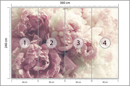 Fototapeta Kwitnące Peonie Pastelowe 360 × 240 cm – podgląd kadru