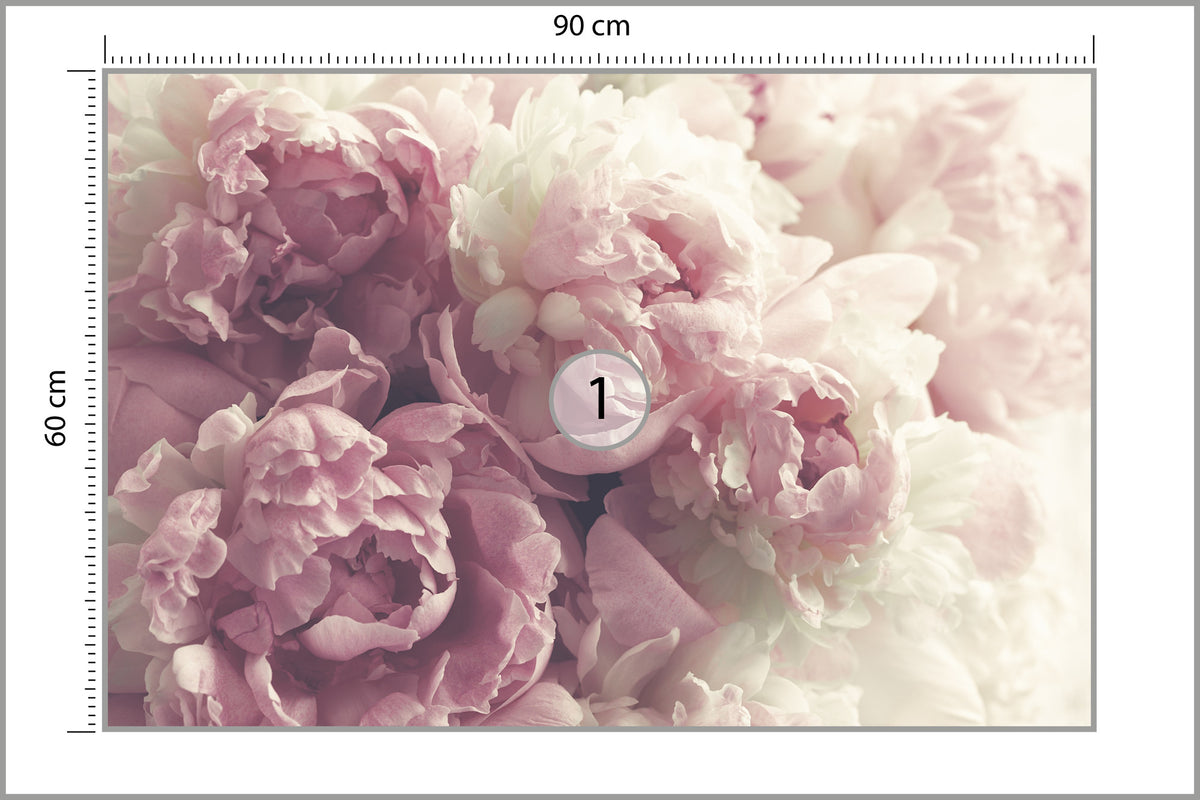 Fototapeta Kwitnące Peonie Pastelowe 90 × 60 cm – podgląd kadru
