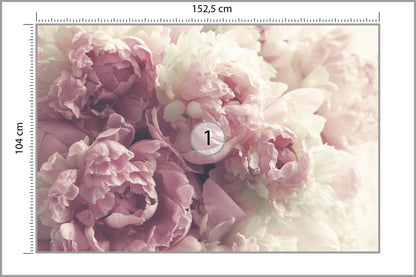 Fototapeta Kwitnące Peonie Pastelowe 152,5 × 104 cm – podgląd kadru