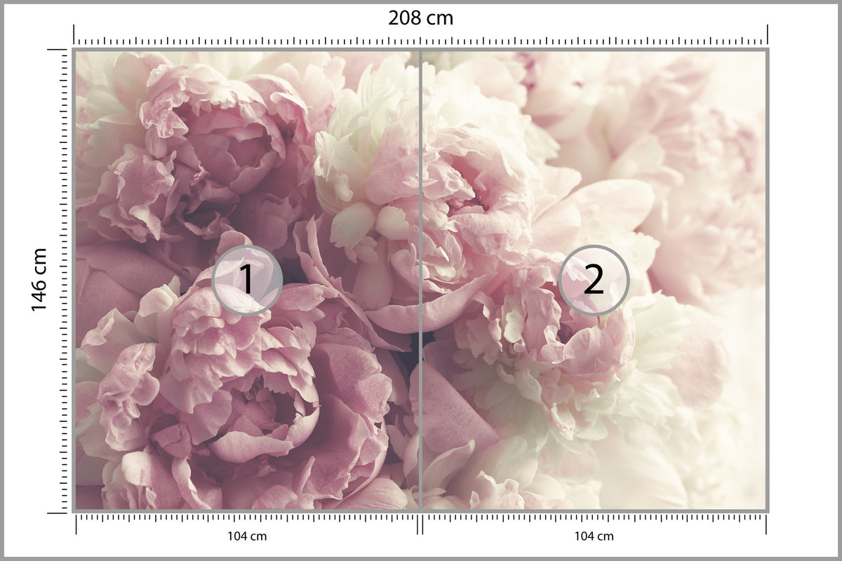 Fototapeta Kwitnące Peonie Pastelowe 208 × 146 cm – podgląd kadru