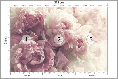 Fototapeta Kwitnące Peonie Pastelowe 312 × 219 cm – podgląd kadru