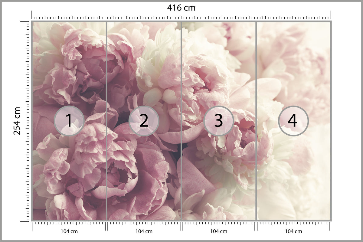 Fototapeta Kwitnące Peonie Pastelowe 416 × 254 cm – podgląd kadru
