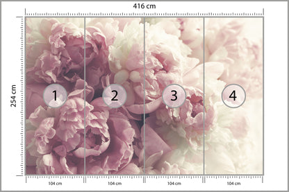 Fototapeta Kwitnące Peonie Pastelowe 416 × 254 cm – podgląd kadru