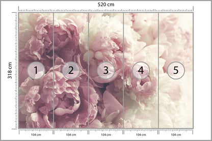 Fototapeta Kwitnące Peonie Pastelowe 520 × 318 cm – podgląd kadru
