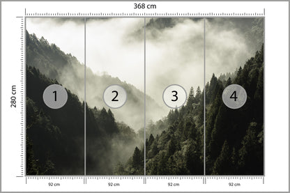 Fototapeta Las We Mgle Górski Wąwóz 368 × 280 cm – podgląd kadru
