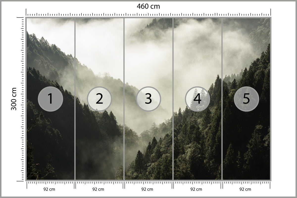 Fototapeta Las We Mgle Górski Wąwóz 460 × 300 cm – podgląd kadru