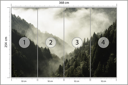 Fototapeta Las We Mgle Górski Wąwóz 368 × 254 cm – podgląd kadru