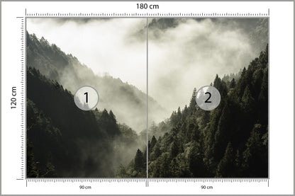 Fototapeta Las We Mgle Górski Wąwóz 180 × 120 cm – podgląd kadru