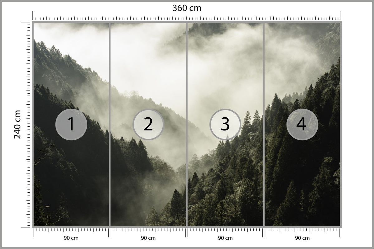 Fototapeta Las We Mgle Górski Wąwóz 360 × 240 cm – podgląd kadru