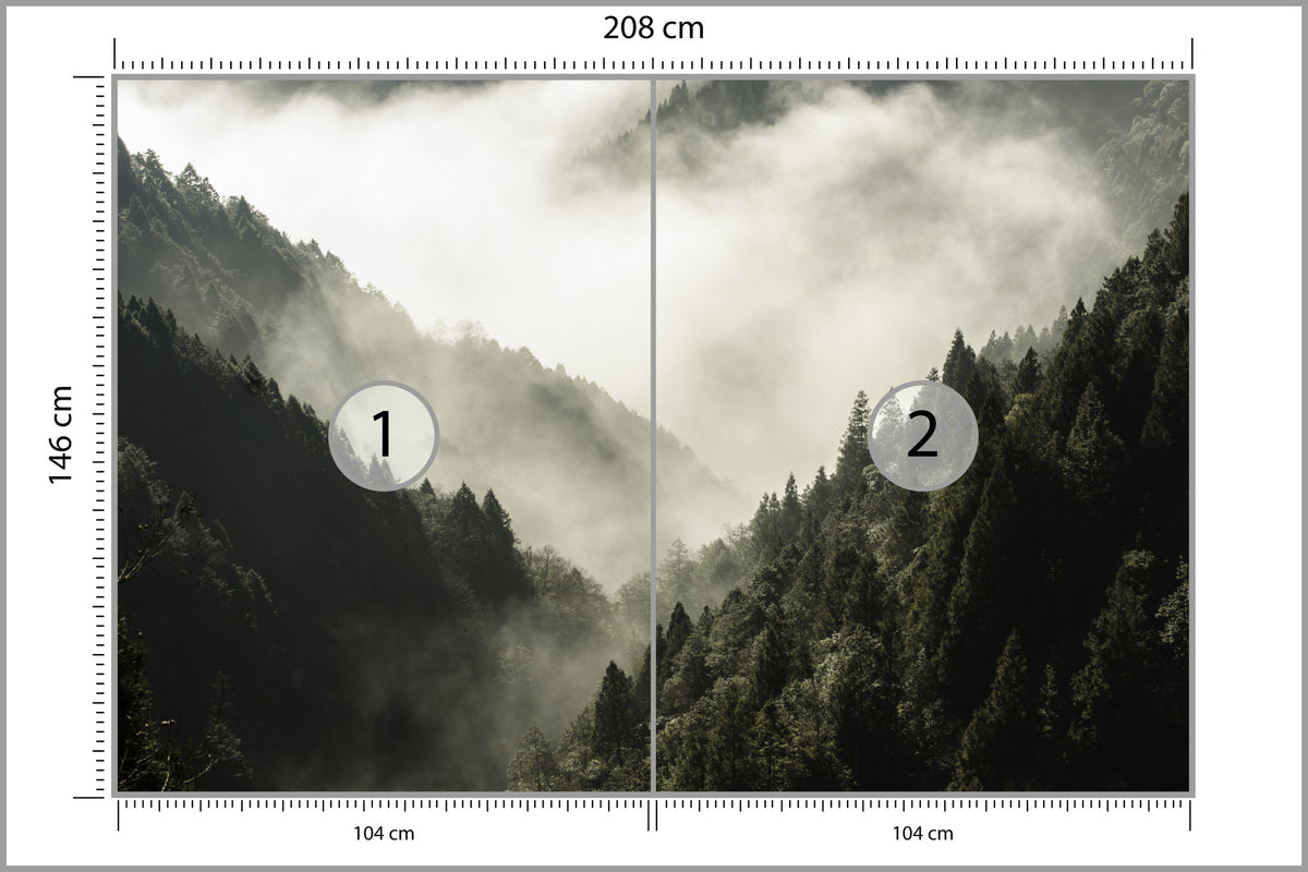 Fototapeta Las We Mgle Górski Wąwóz 208 × 146 cm – podgląd kadru