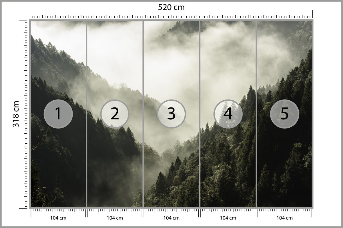 Fototapeta Las We Mgle Górski Wąwóz 520 × 318 cm – podgląd kadru