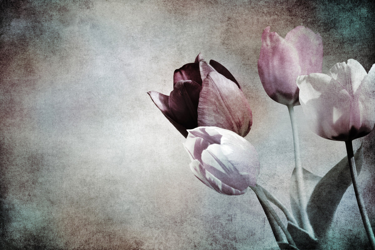 Fototapeta Tulipany W Stylu Vintage – wzór