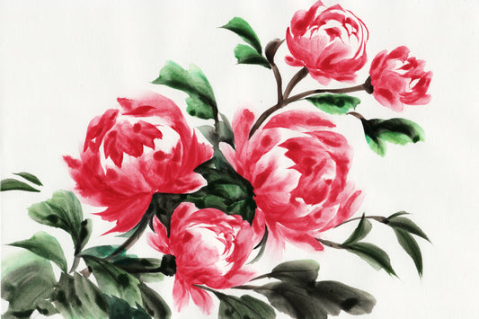 Obraz Na Płótnie Peonie Akwarelowe – delikatna kompozycja kwiatowa do wnętrz romantycznych i shabby chic 120x80