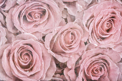 Obraz Na Płótnie Róże Vintage – romantyczna dekoracja do wnętrz shabby chic i prowansalskich 120x80