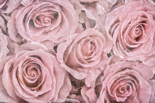 Obraz Na Płótnie Róże Vintage – romantyczna dekoracja do wnętrz shabby chic i prowansalskich 120x80