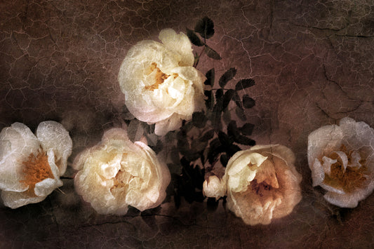 Obraz Na Płótnie Dzikie Róże – romantyczna kompozycja vintage do wnętrz klasycznych i retro 120x80