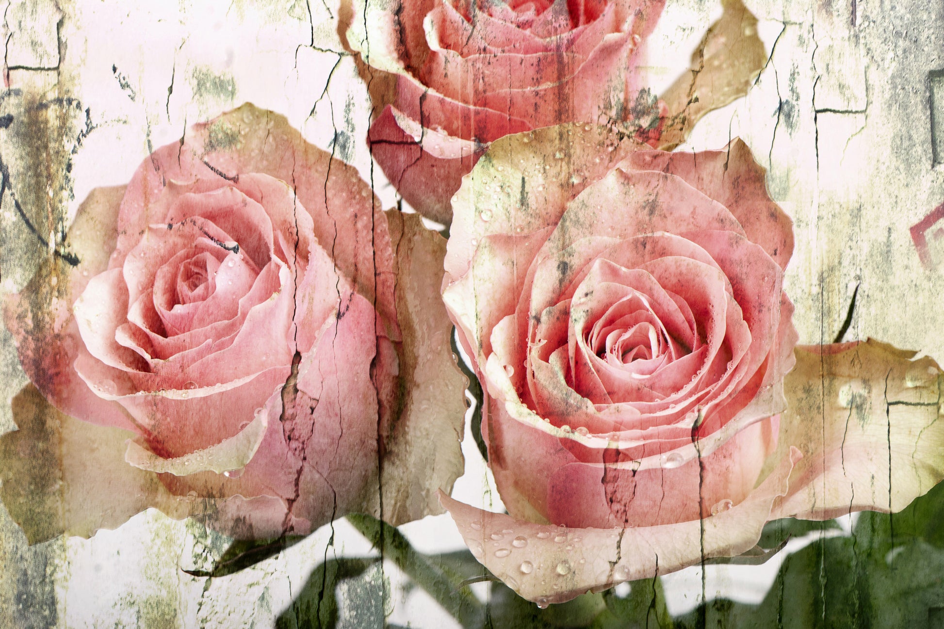 Obraz Na Płótnie Róże 3D – klimat retro i głębia barw do wnętrz vintage i shabby chic 120x80
