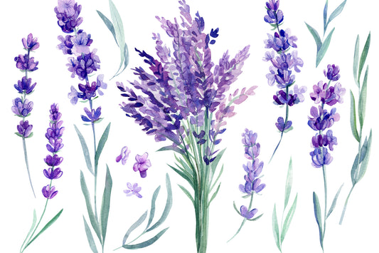 Obraz Na Płótnie Kwitnąca Lawenda – delikatna akwarela do wnętrz Provence, Shabby Chic i romantycznych. 120x80