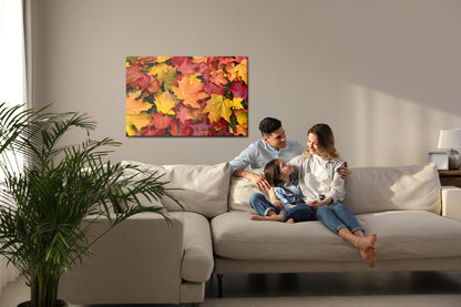 Obraz Na Płótnie Liście Klonu – jesienny nastrój w ciepłych barwach do wnętrz klasycznych, rustykalnych i hygge – widok 6