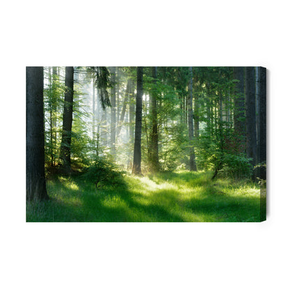 Obraz Na Płótnie Las