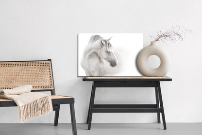 Obraz Na Płótnie Koń We Mgle – eteryczny pejzaż do wnętrz minimalistycznych i skandynawskich – widok 5