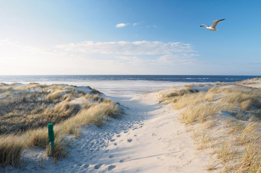 Obraz Na Płótnie Nadmorski Pejzaż – kojący widok do wnętrz skandynawskich, boho i coastal 120x80