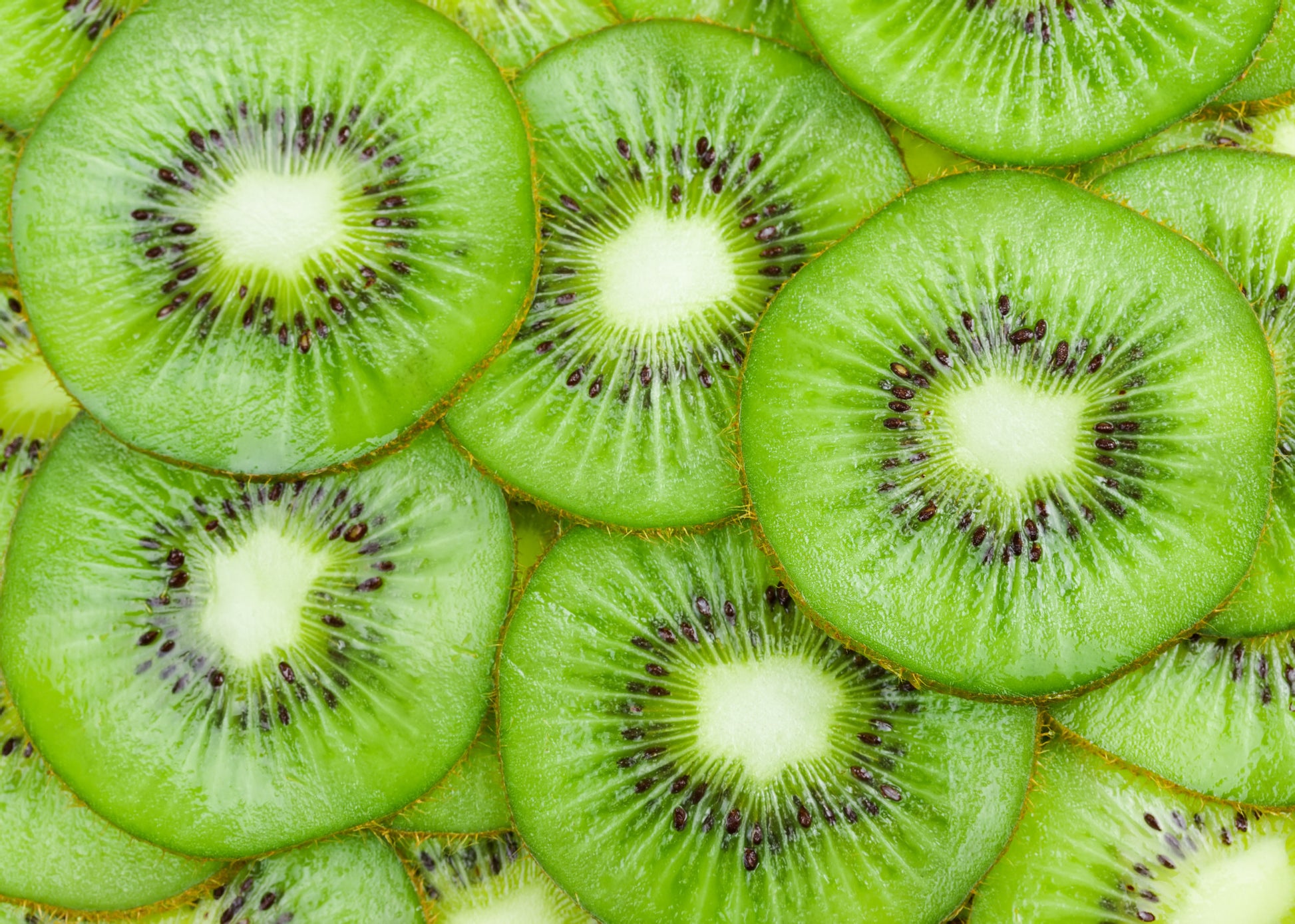 Obraz Na Płótnie Kiwi Z Bliska – świeża dekoracja ścienna do wnętrz nowoczesnych i loftowych 120x80