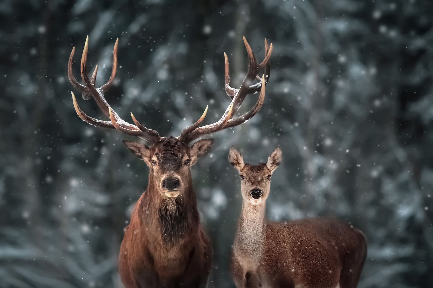 Obraz Na Płótnie Jeleń i Łania w Leśnym Pejzażu – spokojna natura do wnętrz Skandynawskich i Rustykalnych 120x80